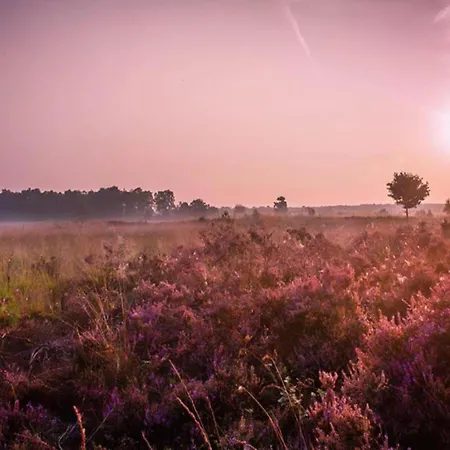 In Near Veluwe Nature, Cleaning Included Hébergement de vacances Voorthuizen