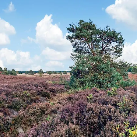 In Near Veluwe Nature, Cleaning Included Voorthuizen