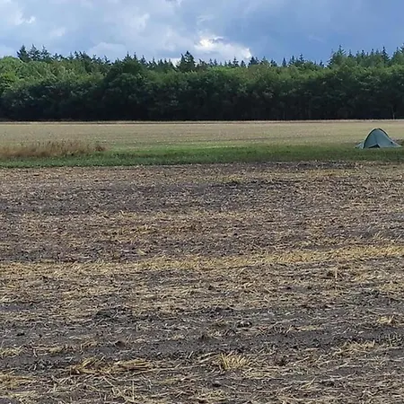 In Near Veluwe Nature, Cleaning Included