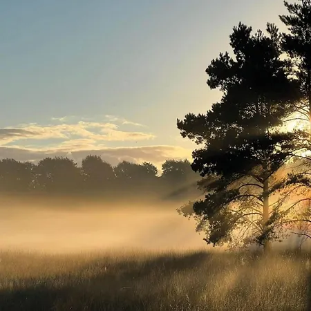 In Near Veluwe Nature, Cleaning Included