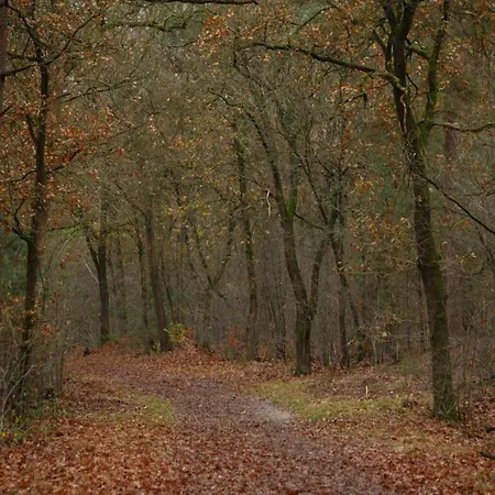 Hébergement de vacances In Near Veluwe Nature, Cleaning Included