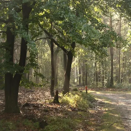 In Near Veluwe Nature, Cleaning Included *
