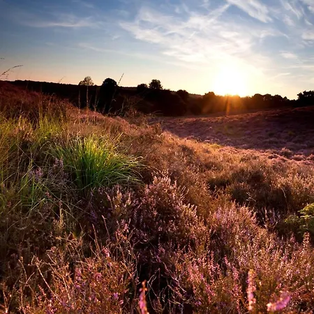In Near Veluwe Nature, Cleaning Included Voorthuizen