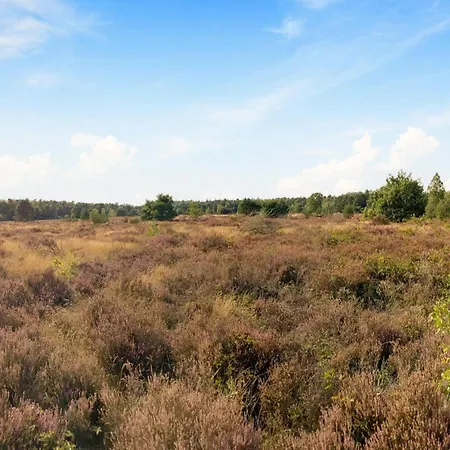 In Near Veluwe Nature, Cleaning Included Hébergement de vacances *